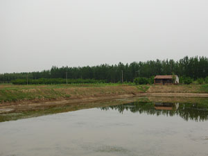 ҈@ԵĴឈ@