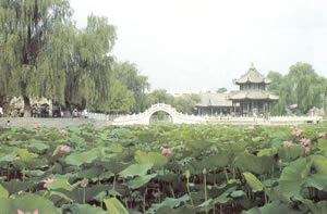 古蓮池