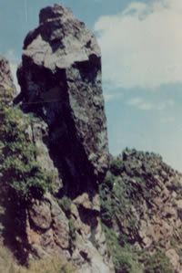 大茂山原始森林