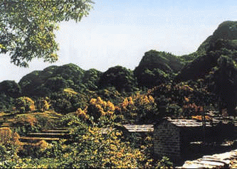 長壽村