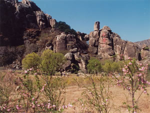 長(zhǎng)壽山