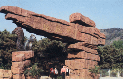 松鼠園