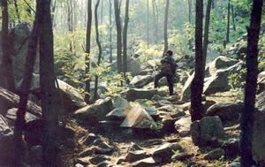 封龍山