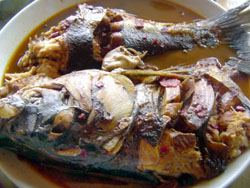 űں´r(nng)Ժ