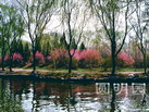 A@zַ